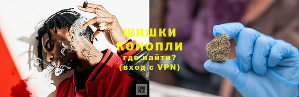 соль ск Богородск